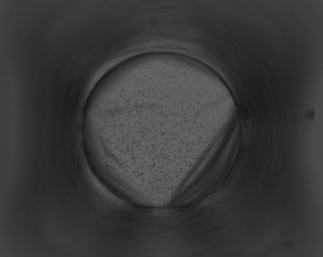 X0000091851531200710031010