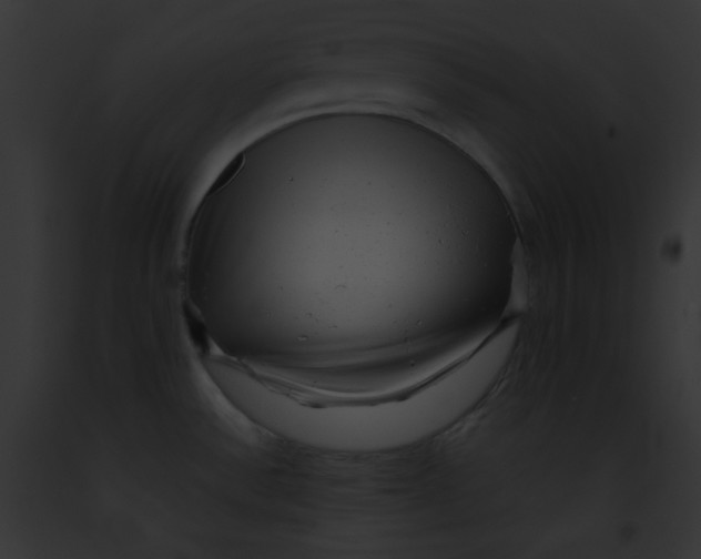 X0000091851532200710031010