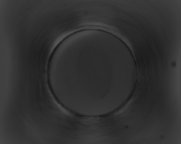 X0000091851533200710031010