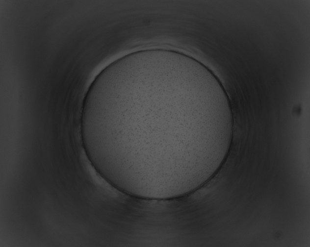 X0000091851534200710031010