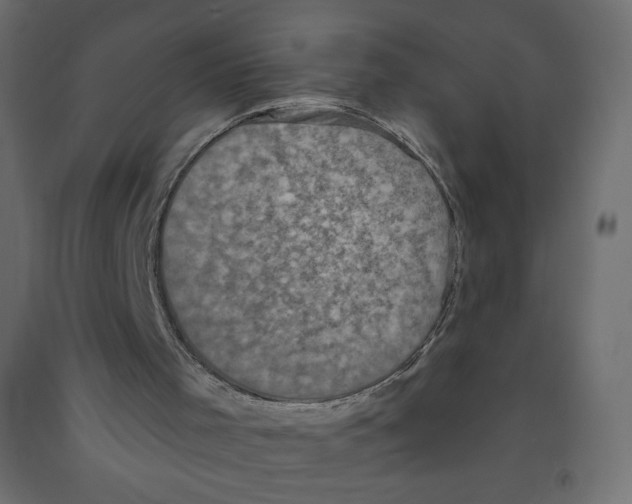 X0000091850001200710031651