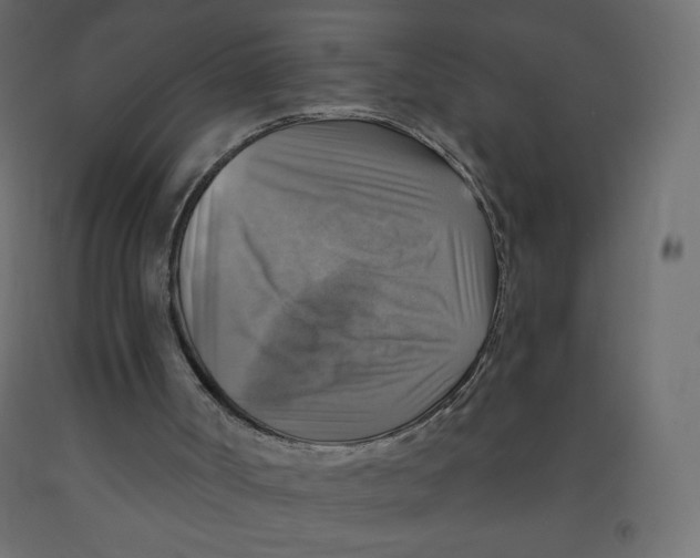 X0000091850002200710031651