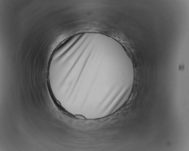 X0000091850003200710031651