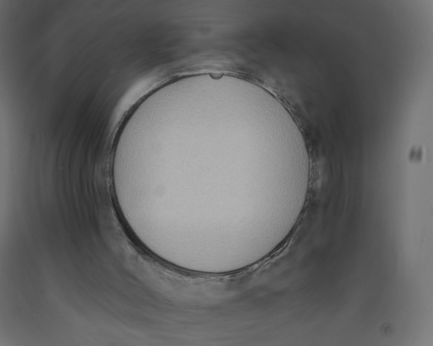 X0000091850004200710031651