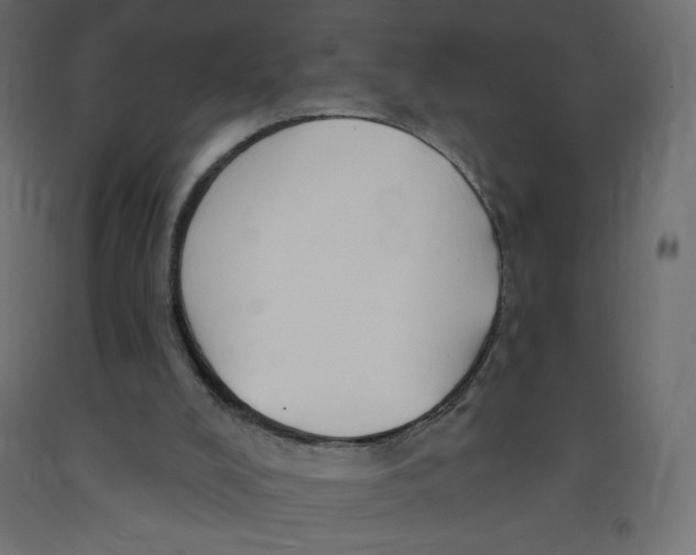 X0000091850008200710031651
