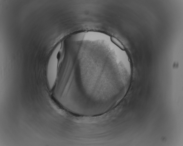 X0000091850009200710031650