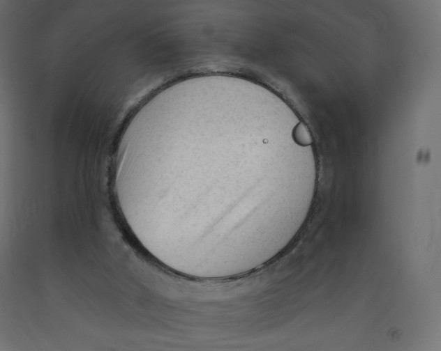 X0000091850010200710031650