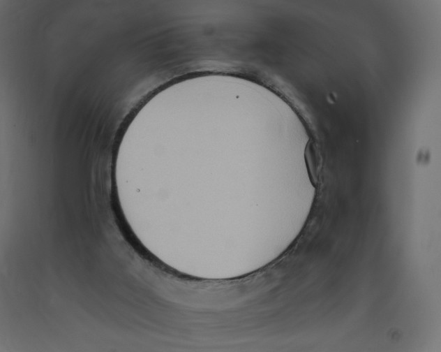 X0000091850011200710031650