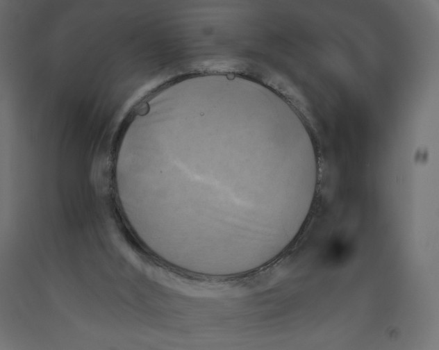 X0000091850012200710031650