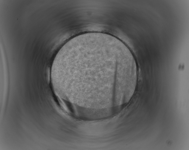 X0000091850013200710031650