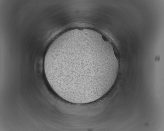 X0000091850014200710031650