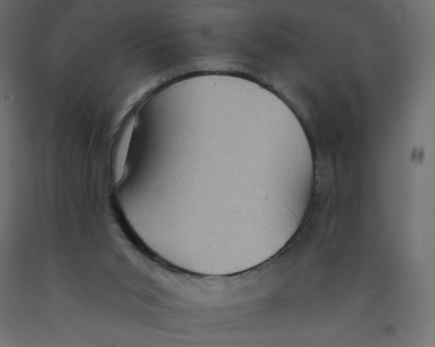 X0000091850015200710031650