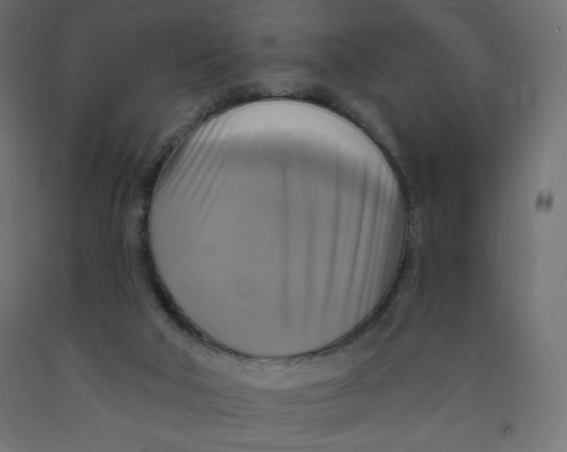 X0000091850018200710031650