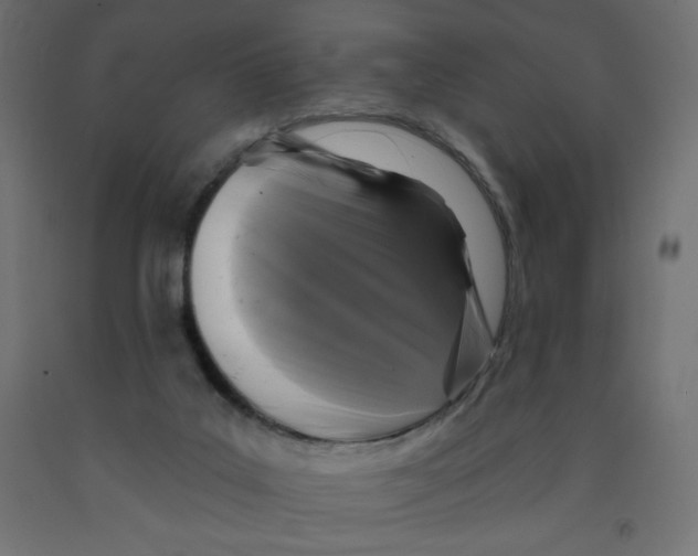 X0000091850019200710031650