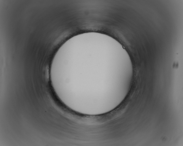 X0000091850020200710031650