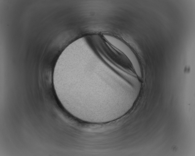 X0000091850021200710031650