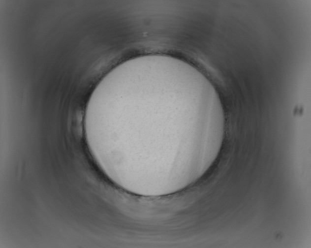 X0000091850022200710031650