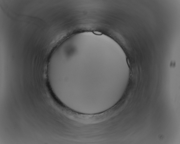X0000091850023200710031650