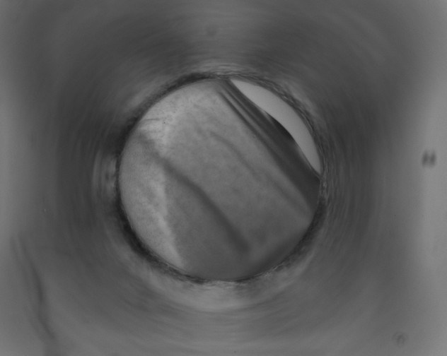 X0000091850024200710031650