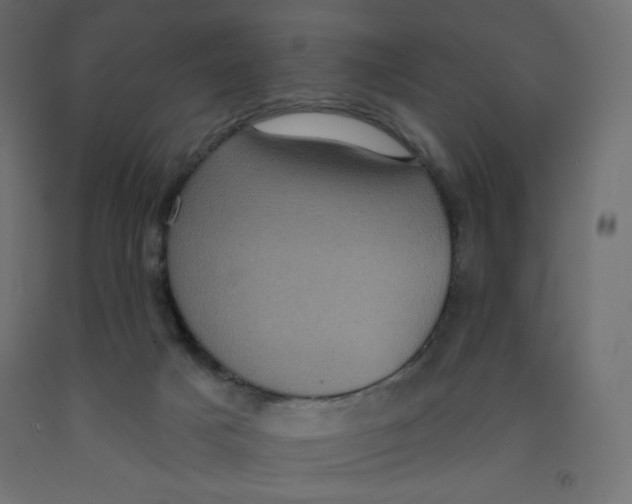 X0000091850025200710031650