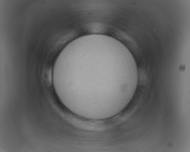 X0000091850028200710031650