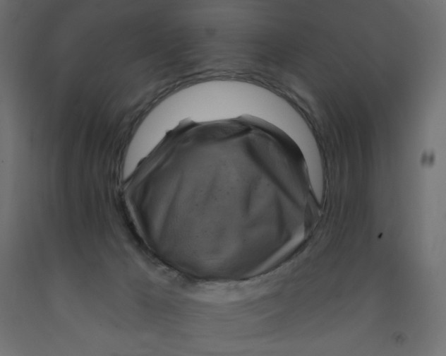 X0000091850029200710031650