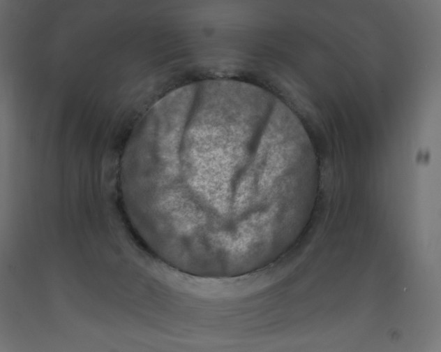 X0000091850030200710031650
