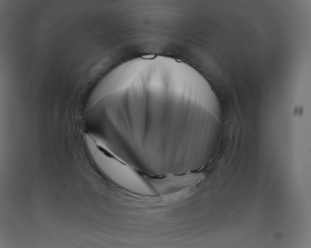 X0000091850031200710031650