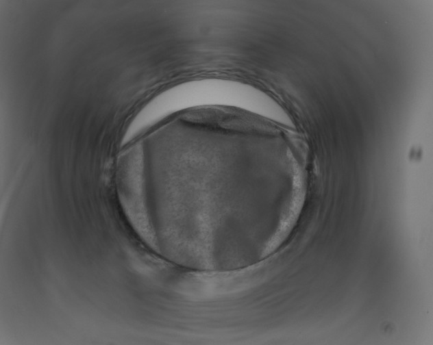 X0000091850033200710031650