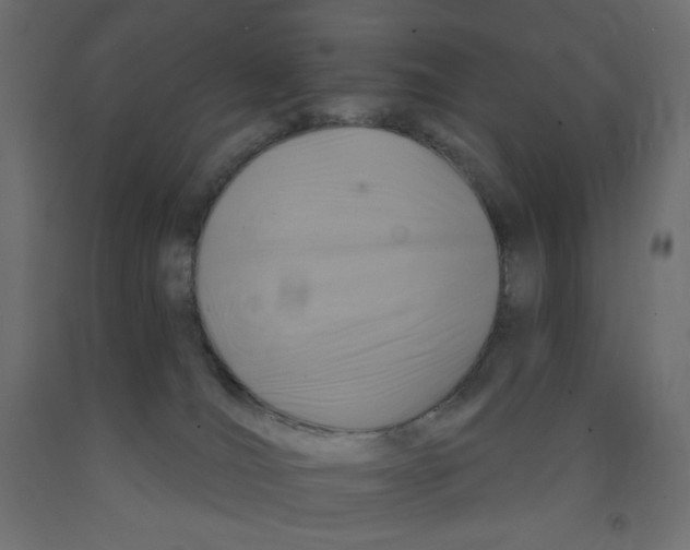 X0000091850036200710031650