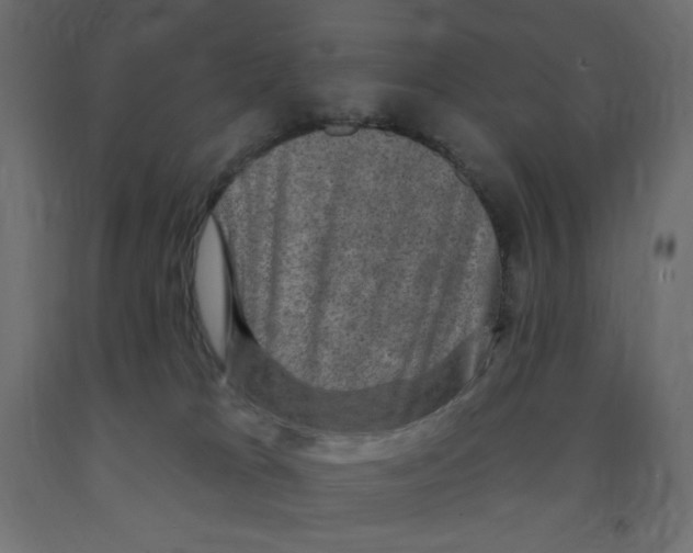 X0000091850037200710031650