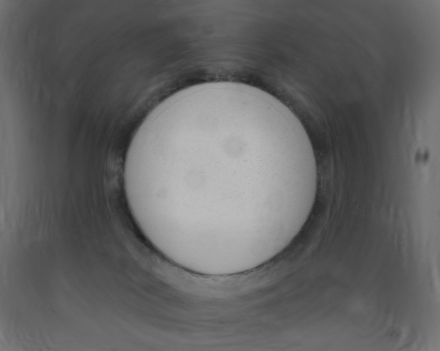 X0000091850038200710031650