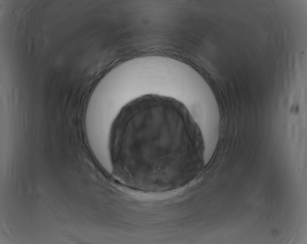 X0000091850039200710031650