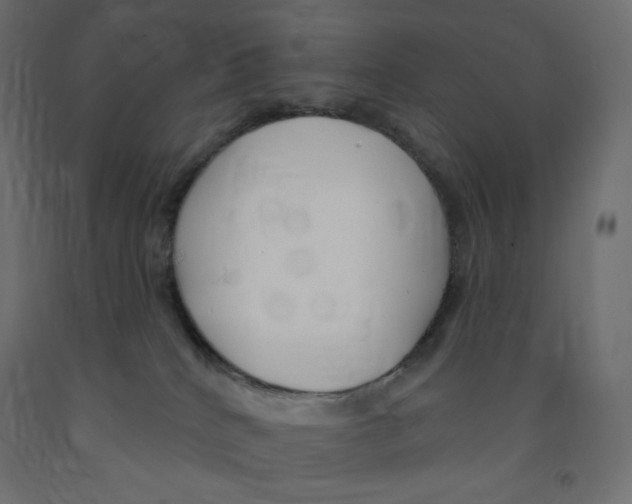 X0000091850040200710031650