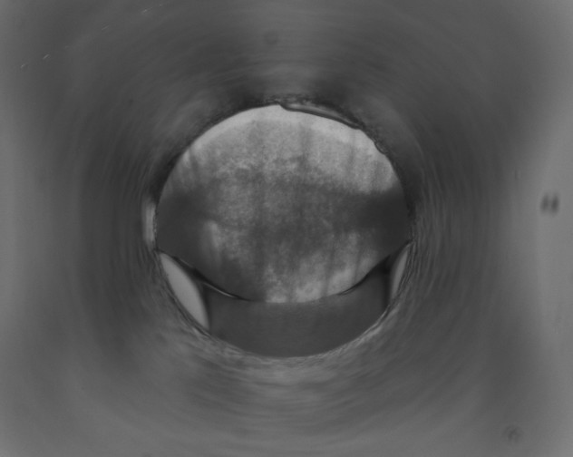 X0000091850041200710031650