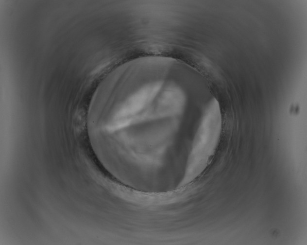 X0000091850043200710031650