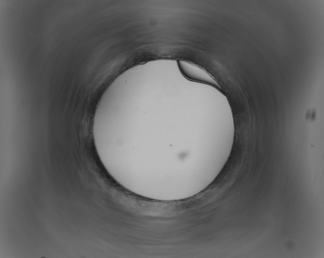 X0000091850044200710031650