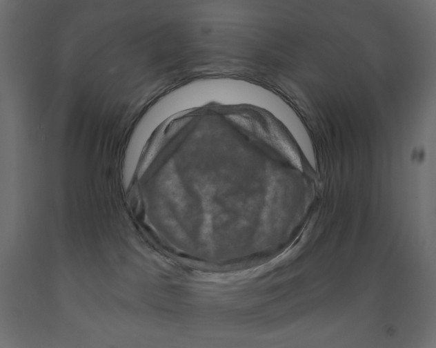 X0000091850045200710031650