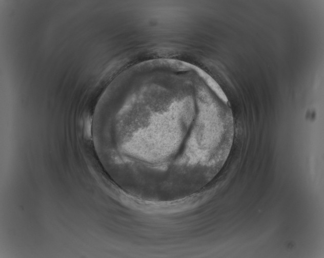 X0000091850046200710031650
