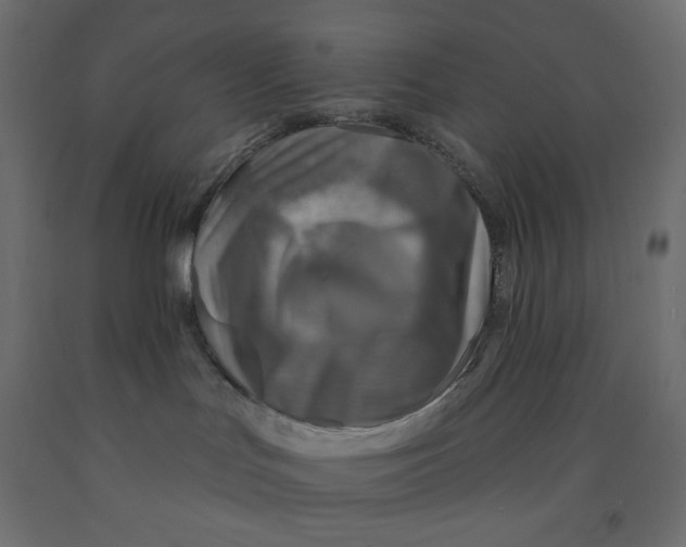 X0000091850047200710031650