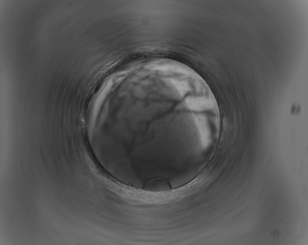 X0000091850048200710031650