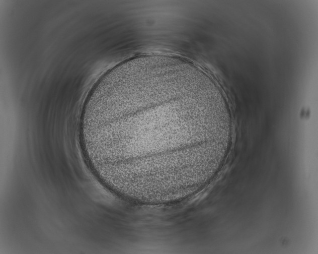 X0000091850049200710031649