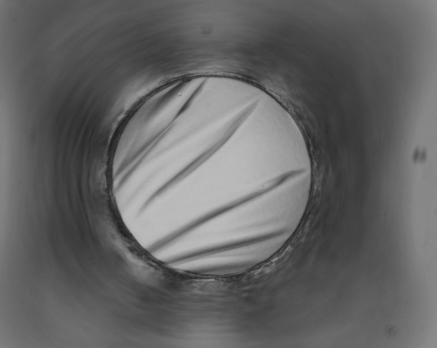 X0000091850050200710031649
