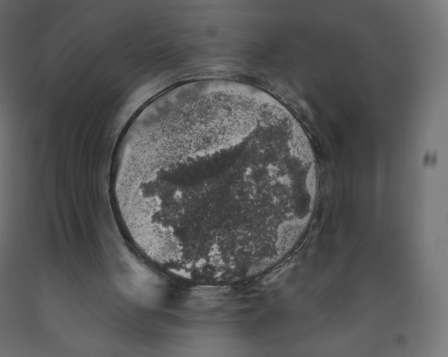 X0000091850051200710031649