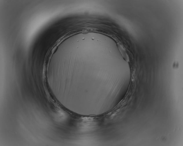 X0000091850052200710031649