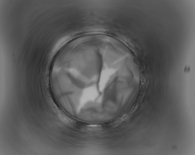 X0000091850053200710031649