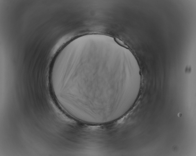 X0000091850054200710031649