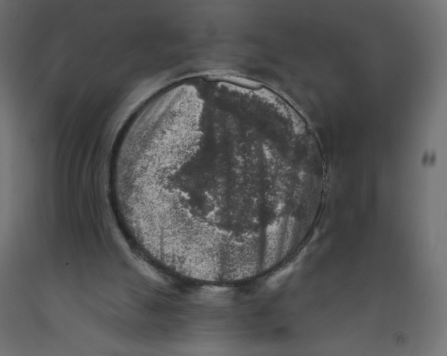 X0000091850055200710031649