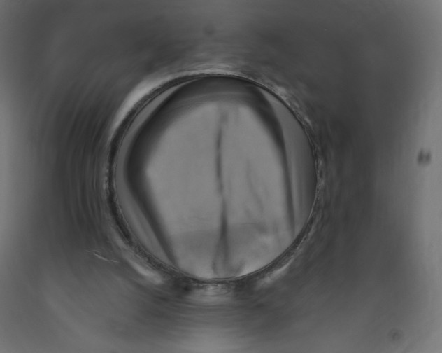 X0000091850056200710031650
