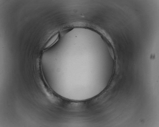 X0000091850057200710031650